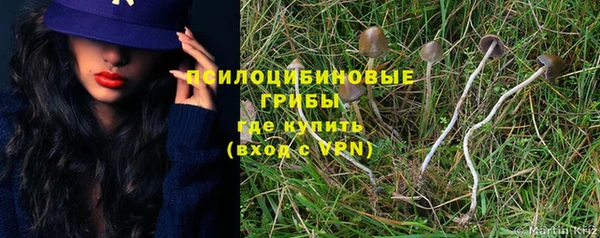ешки Волосово