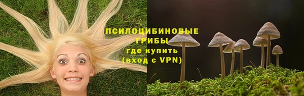 не бодяженный Волоколамск