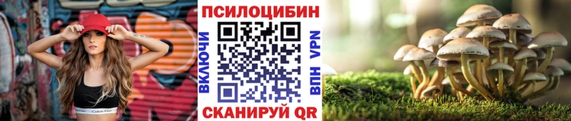 Галлюциногенные грибы Psilocybine cubensis  Купить  Сясьстрой 